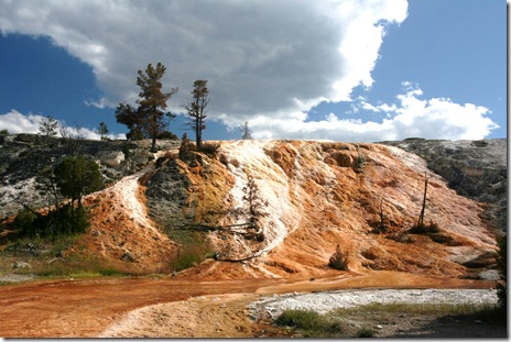 Mammoth Hot Springs
