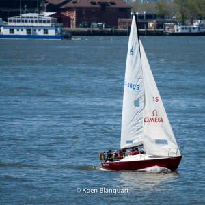 The Stag Hound, one of the sailing boats based in the North Cove Marina, makes its way upstream on the Hudson River, with the Honorable William Wall in the background (Image: koen blanquart)