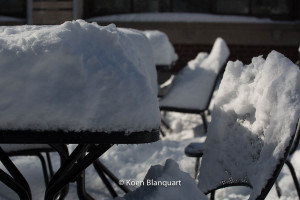 Snow in central park (2013 - image Koen Blanquart)